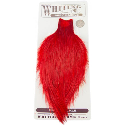Whiting Spey Hackel